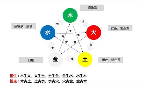 五行植物|常见植物的五行属性